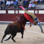 Cogida de Román. Madrid, domingo 9 de junio de 2019