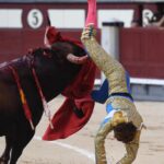 Cogida de Román. Madrid, domingo 9 de junio de 2019