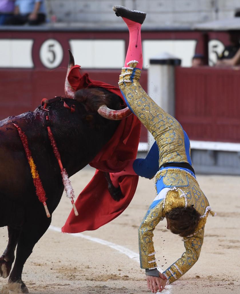 Cogida de Román. Madrid, domingo 9 de junio de 2019