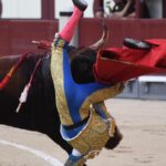 Cogida de Román. Madrid, domingo 9 de junio de 2019