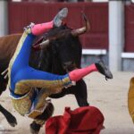 Cogida de Román. Madrid, domingo 9 de junio de 2019