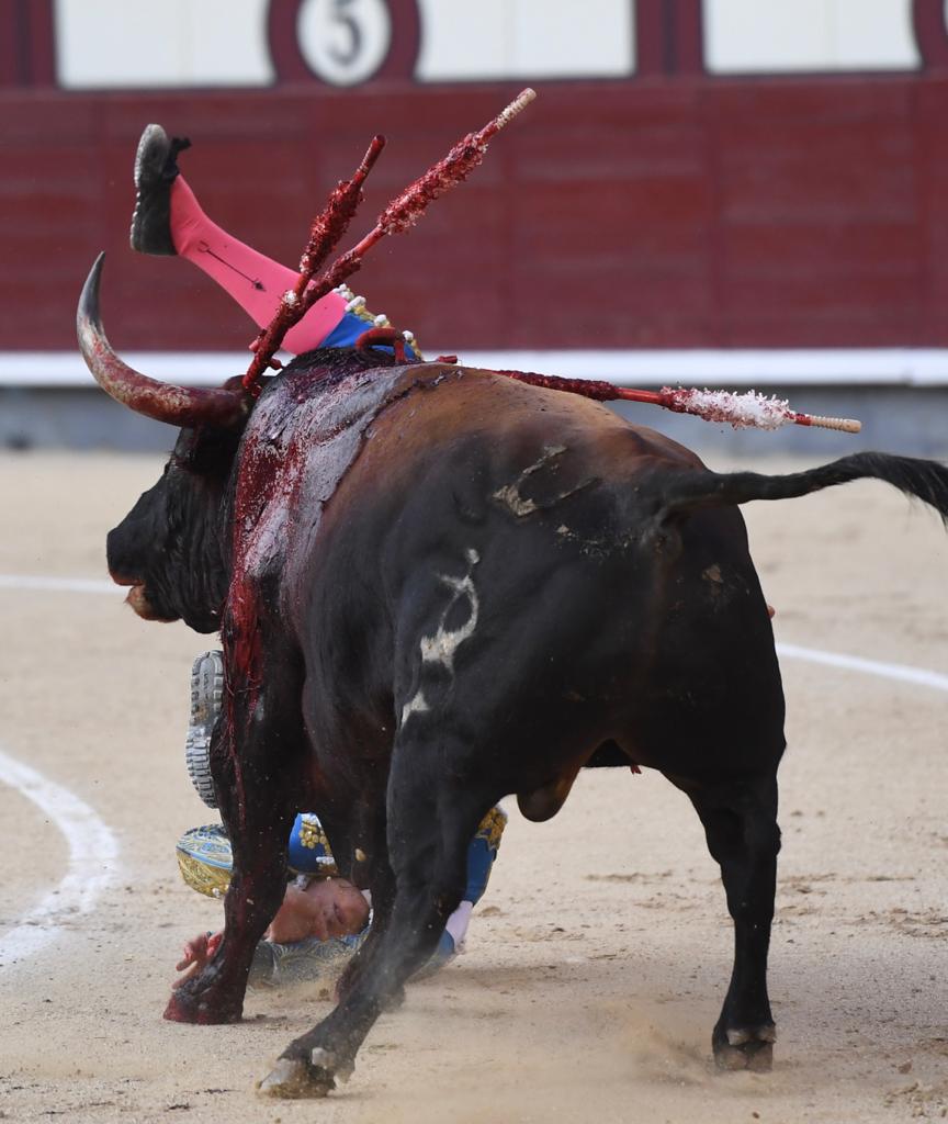 Cogida de Román. Madrid, domingo 9 de junio de 2019