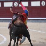 Cogida de Román. Madrid, domingo 9 de junio de 2019