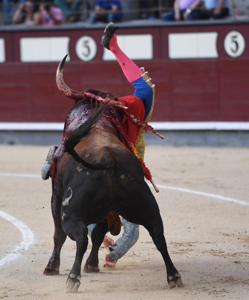 Cogida de Román. Madrid, domingo 9 de junio de 2019
