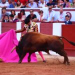 Zamora. Sábado 29 de junio de 2019