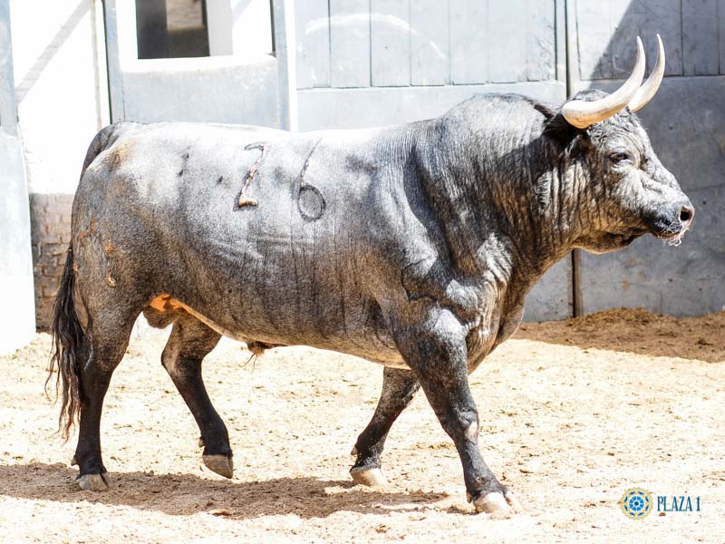Toros de Partido de Resina para Las Ventas. Domingo 30 de junio de 2019