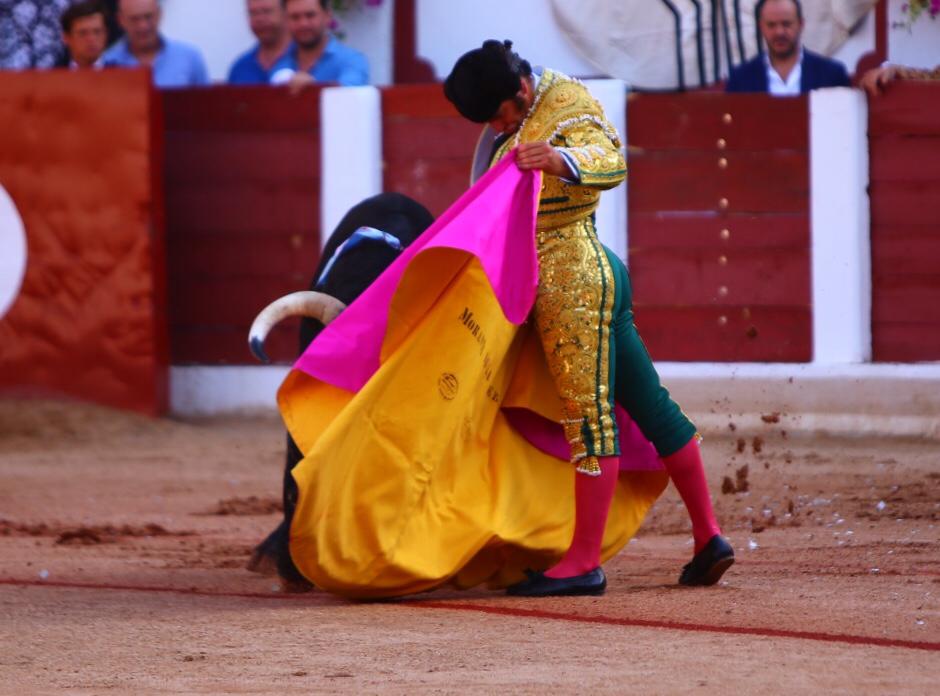 Zamora. Sábado 29 de junio de 2019