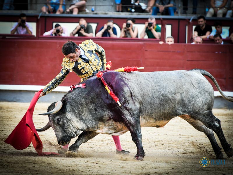 Madrid. Domingo 30 de junio de 2019