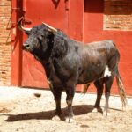 Algeciras. Sábado 29 de agosto de 2019