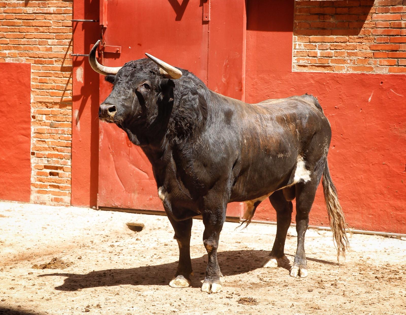 Algeciras. Sábado 29 de agosto de 2019