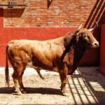 Algeciras. Sábado 29 de junio de 2019