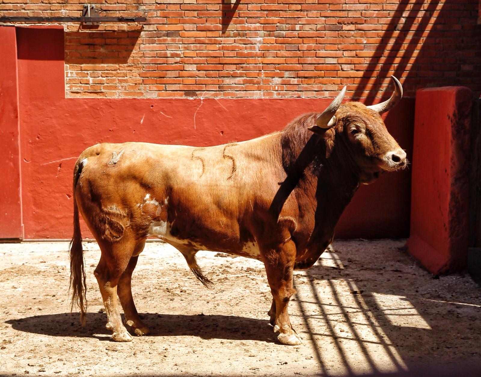 Algeciras. Sábado 29 de junio de 2019