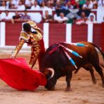 Zamora. Sábado 29 de junio de 2019