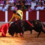 Zamora. Sábado 29 de junio de 2019