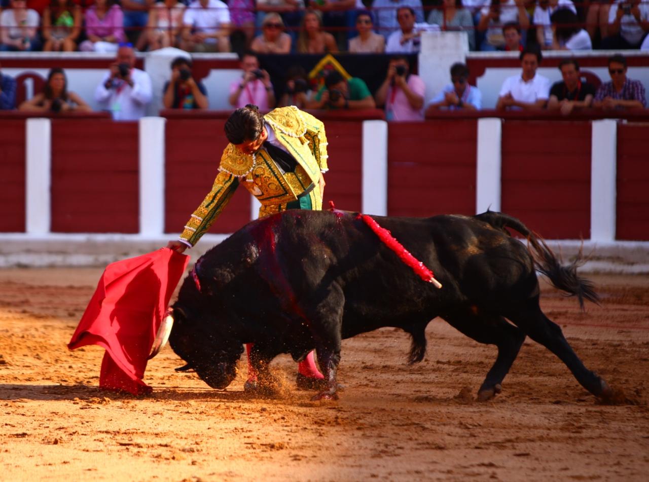 Zamora. Sábado 29 de junio de 2019