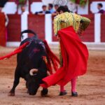 Zamora. Sábado 29 de junio de 2019