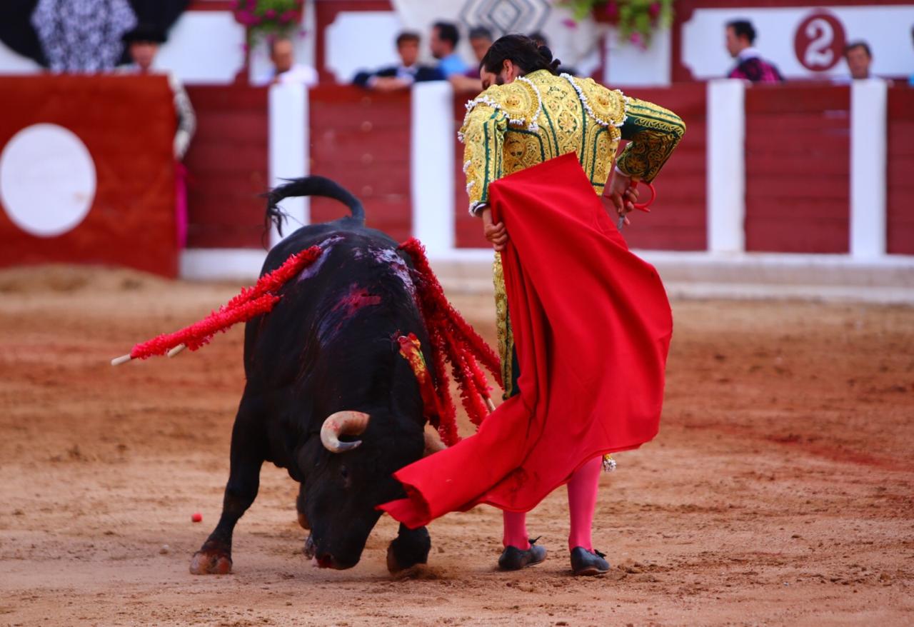 Zamora. Sábado 29 de junio de 2019