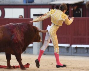 Cornada Juan Leal. Madrid, 25 de mayo de 2019