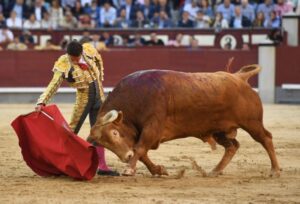 Madrid, viernes 7 de junio de 2019