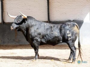 Sorteo. Madrid, domingo 9 de junio de 2019