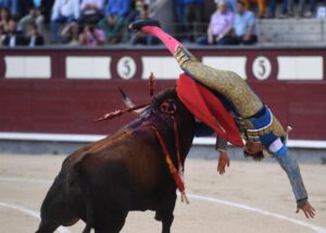 Cogida de Román. Madrid, domingo 9 de junio de 2019