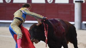 Cogida de Román. Madrid, domingo 9 de junio de 2019