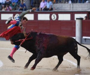 Cogida de Román. Madrid, domingo 9 de junio de 2019
