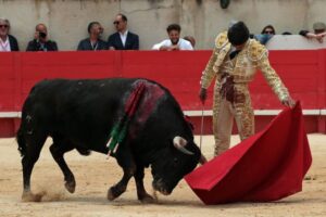 Nimes, domingo 9 de junio de 2019. Matinal