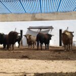 Sorteo. Alicante, sábado 22 de junio de 2019