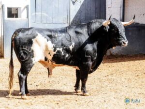 Sorteo. Madrid, domingo 23 de junio de 2019