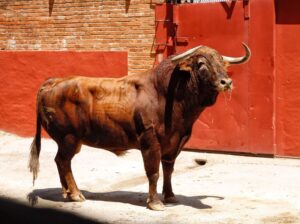 Sorteo. Algeciras, domingo 23 de junio de 2019