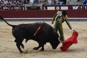Madrid, domingo 23 de junio de 2019