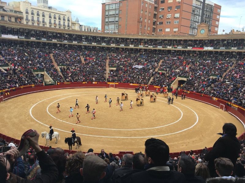 La recta final de la Feria de Fallas, en directo por televisión