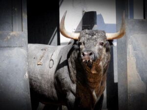Toros de Partido de Resina para Las Ventas. Domingo 30 de junio de 2019