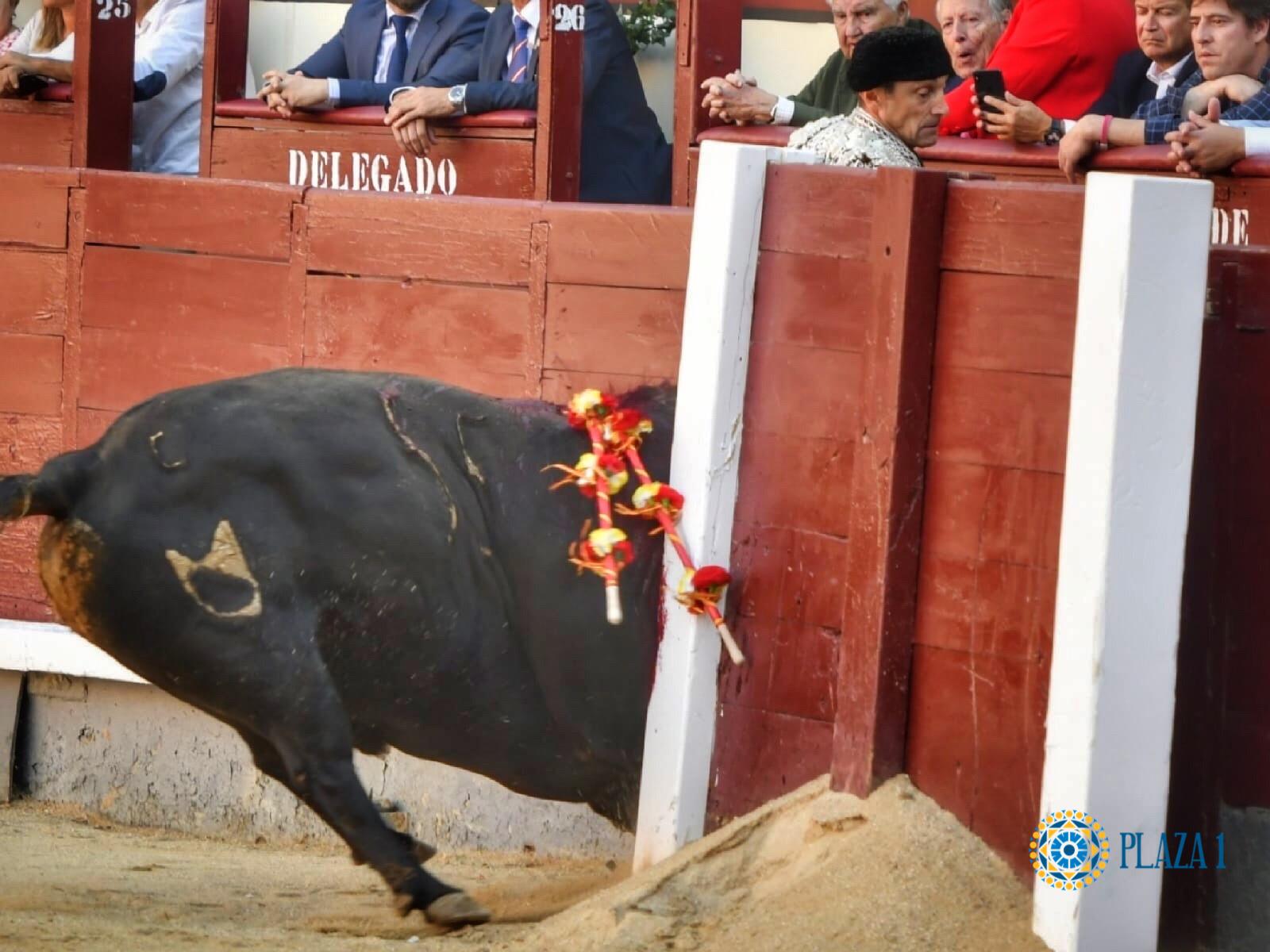 Pirri, cornada de 35 cm en región glútea con orificio de salida en cresta ilíaca
