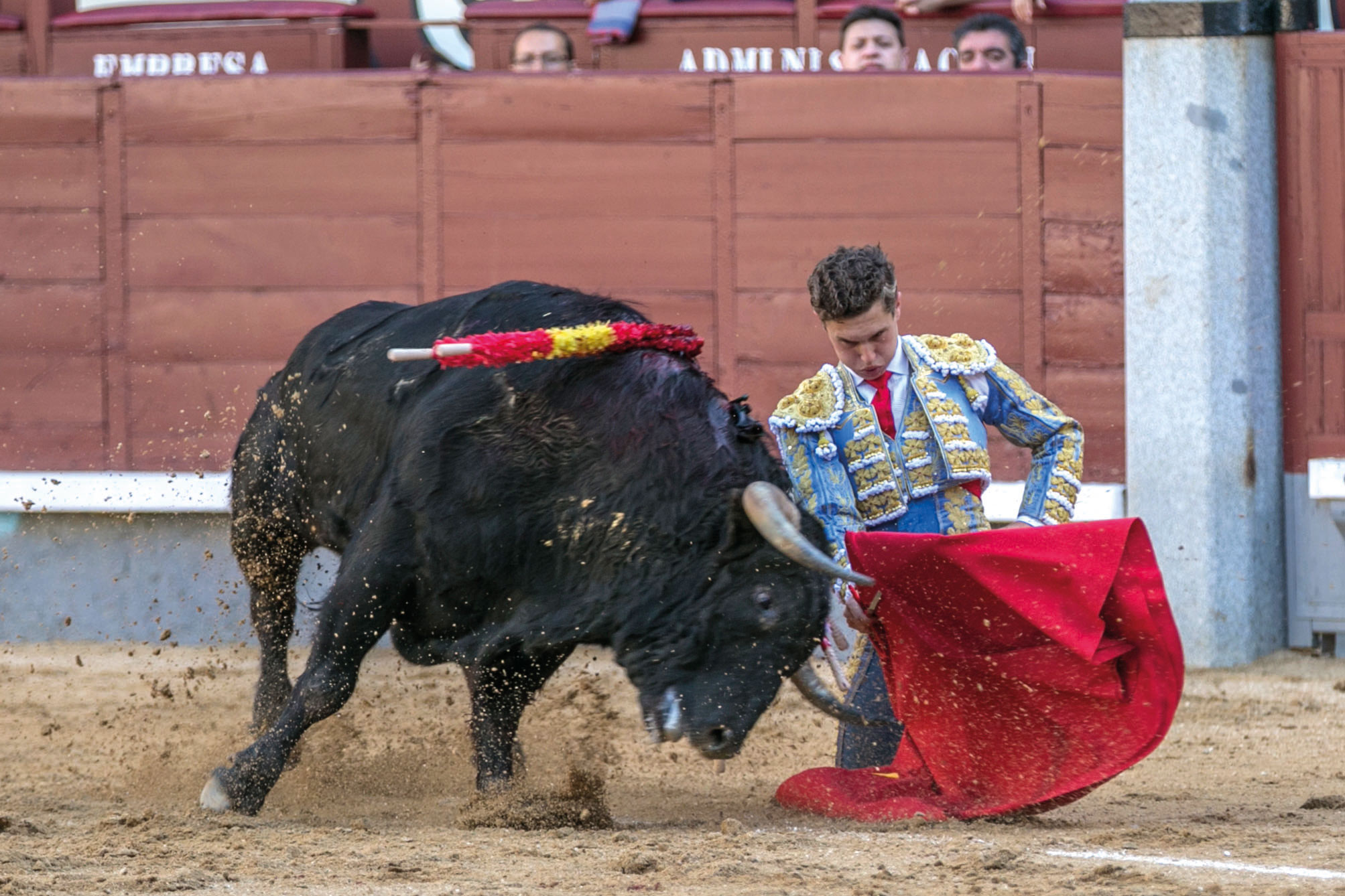 “Ojalá sea el nuevo torero de Francia”