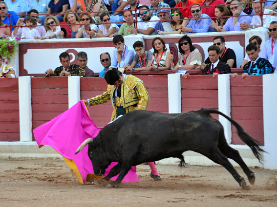Zamora. Sábado 29 de junio de 2019