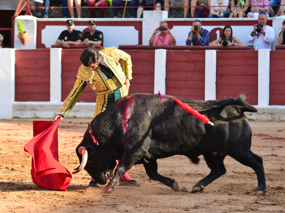 Zamora. Sábado 29 de junio de 2019