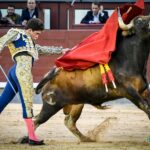 Madrid, jueves 4 de julio de 2019