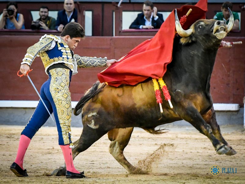 Madrid, jueves 4 de julio de 2019