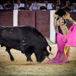 Madrid. Jueves 11 de julio de 2019