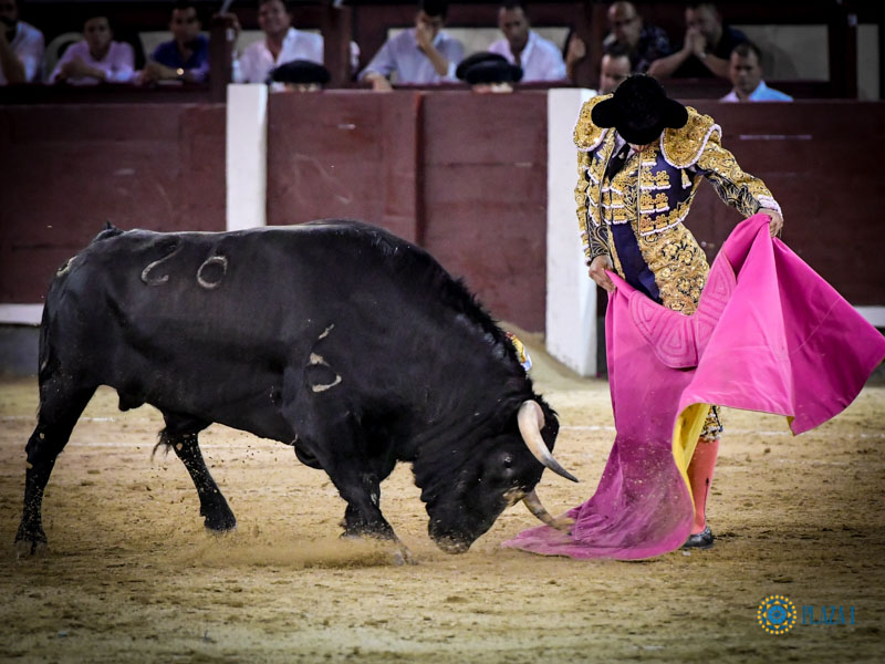 Madrid. Jueves 11 de julio de 2019