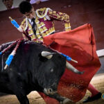 Madrid. Jueves 11 de julio de 2019