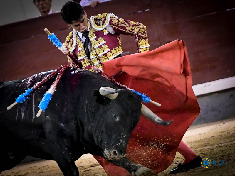 Madrid. Jueves 11 de julio de 2019