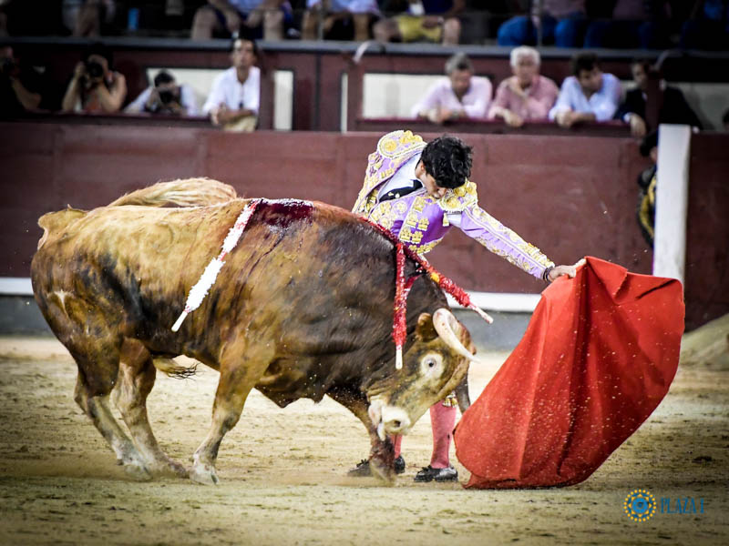 Madrid, jueves 18 de julio de 2019.