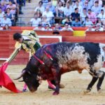Valencia. Jueves 25 de julio de 2019