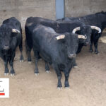 Sorteo. Santander, 21 de julio de 2019