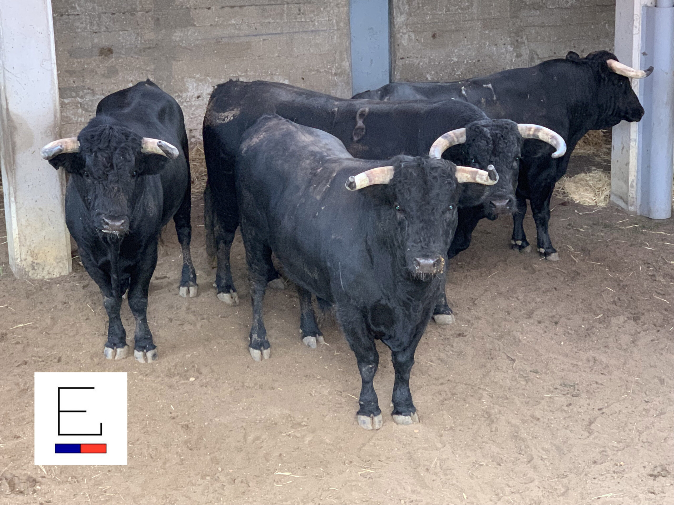 Sorteo. Santander, 21 de julio de 2019