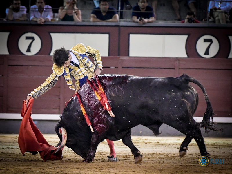 Madrid. Jueves 11 de julio de 2019
