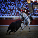 Valencia. Jueves 25 de julio de 2019